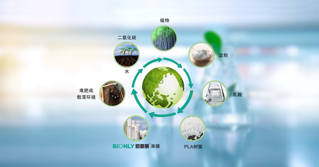 图片 5